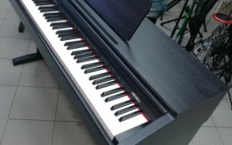 Medeli DP250 Цифровое пианино.