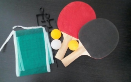 Пинг понг (настольный теннис)