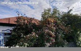 Продам дом в Огурцово г. Новосибирск с участком 24 сотки.
